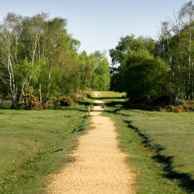 Long gravel walking path in the New Forest