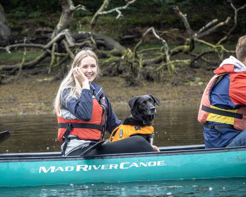 New Forest Activities - Dog in Canoe