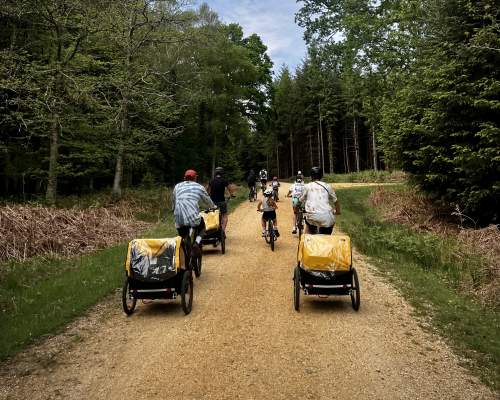 New Forest Cycling Cycle Routes Hire