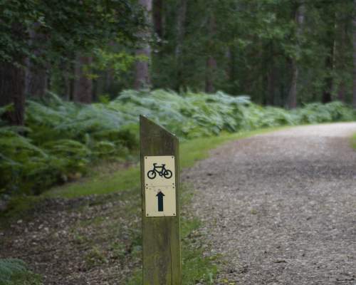 Cycle post with onwards arrow in the New Forest