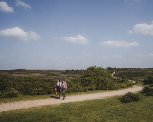 Walking in the New Forest at Godshill