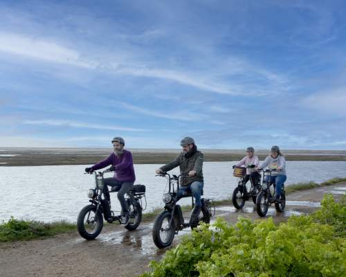 Jaunt-ebikes on seafront