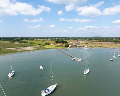 New Forest Escapes - Hero image