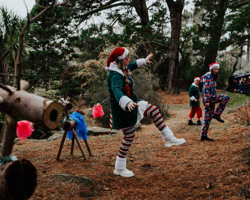 Exbury Gardens - Christmas experience