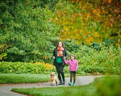 Dog-friendly days trial at RHS Garden Rosemoor extended over winter