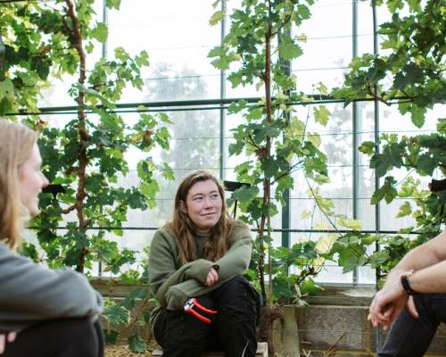 3 people sat in a greenhouse.
