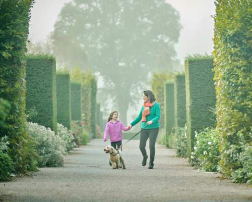 Three days of ‘Paws on Paths’ access to be trialled at RHS Garden Rosemoor