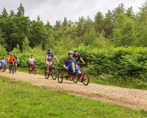 New forest mountain biking deals