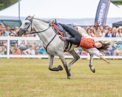 New Forest Show - Horse Show