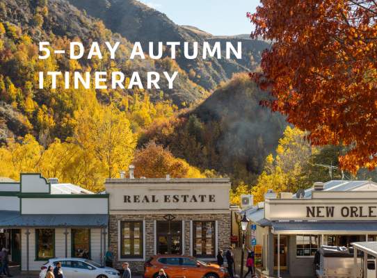 The front cover of a trade itinerary that says '5-day autumn itinerary' and has an image of Arrowtown's main street with red and orange trees and mountains surrounding it
