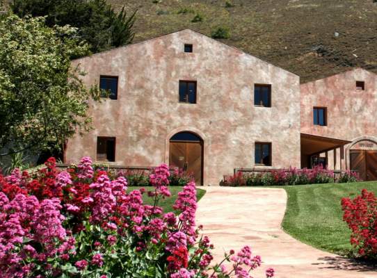Exploring Gibbston's Wineries and Cellar Doors