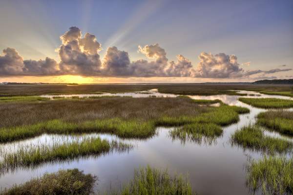Photograph by Will Dickey--Sunrise over the St. Johns River at Round Marsh, in the Theodore Roosevelt Area of the Timucuan Preserve, August 24, 2011 in Jacksonville, Florida. The 600-acres of pristine woodland was donated by Willie Browne in 1970.(www.willdickey.com)