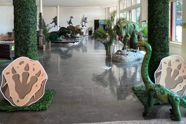 Dinosaur Exhibit at CVB