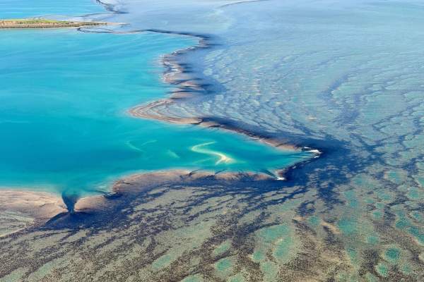 A birds eye view of Montgomery Reef from a Frontier Helicopters chopper/