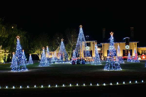 christmas lights