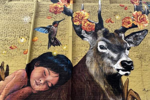 deer mural