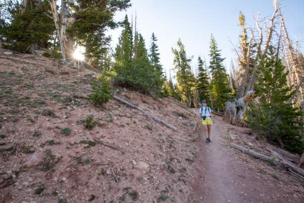 Hiking the Alpine Pond Trail - Cedar Breaks