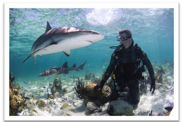 Greg Stunz with Shark