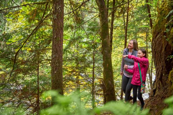 Hiking in the Cascades