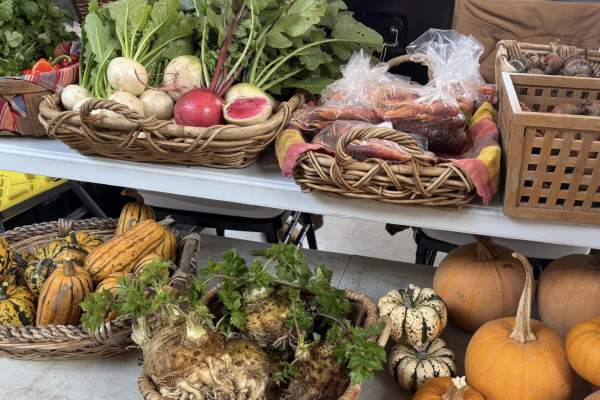 Visit Manitowoc to Manage Winter and Night Markets