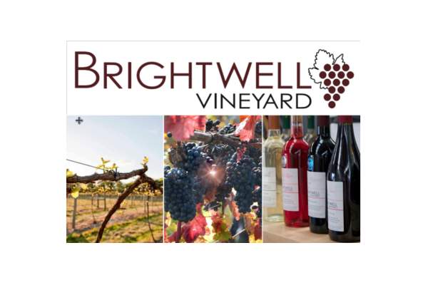 Harvest Time at Brightwell Vineyard