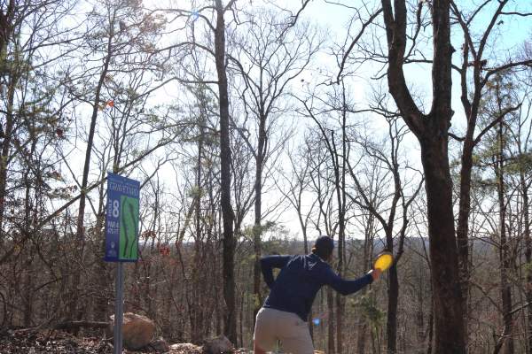 The Graveyard - Spring Villa Disc Golf