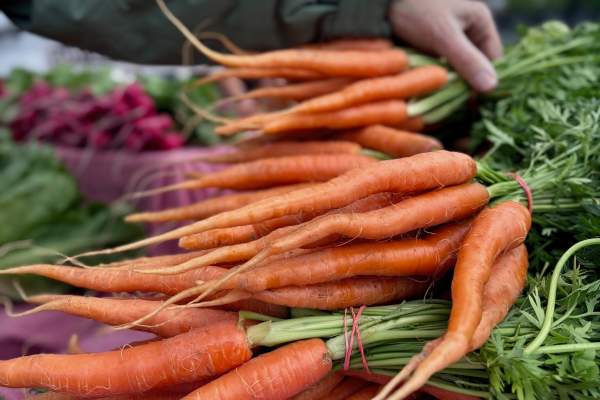 Fresh Finds & Community Vibes: Plan Your Trip to the Kennett Square Farmers Market