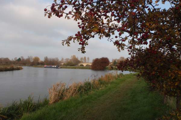 View along Thames Path with Swinford Bridge in background