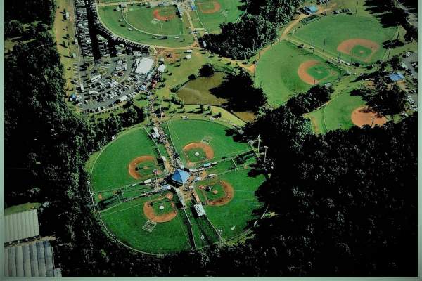 Duck Samford Baseball