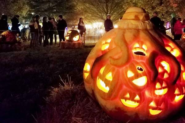 Pumpkin Carve