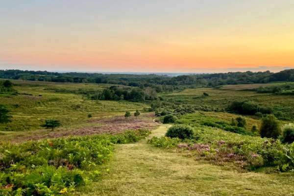 Sunset in the summer at Burley in the New Forest