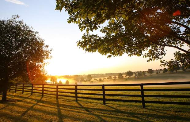 View of Sunset at Horse Farm