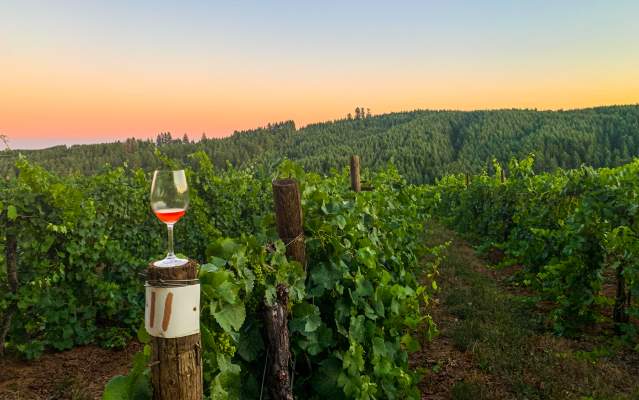 Oregon outlet wine country