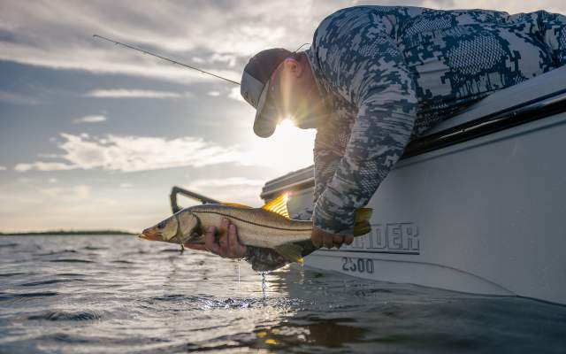 Fisherman Pulling a Snook Out of the Water