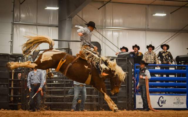 A rodeo cowboy rides a saddle bronc horse in the frozen fury on the plains