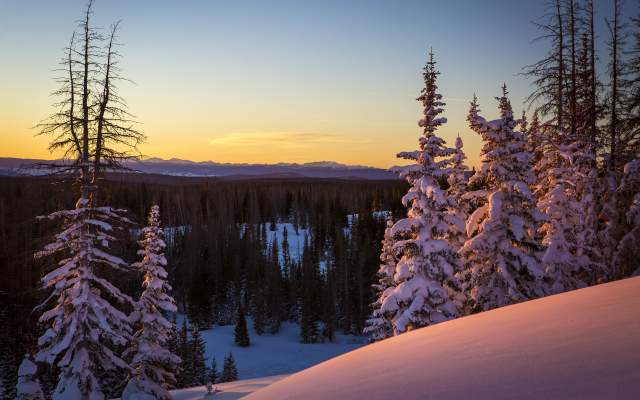 Winter Brooklyn Lake