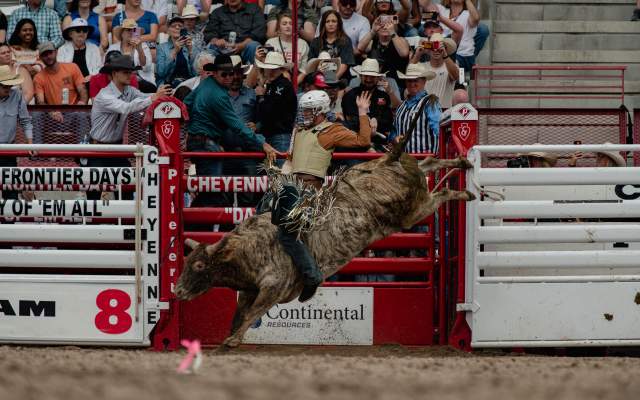 Riding the Bull