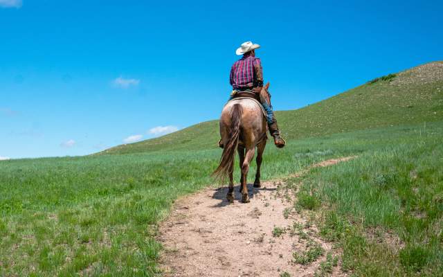 Pristine blue sky, green prairie foreground, man with cowboy hat seen from the back riding horse.