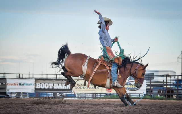A Saddle Bronc Cowboy riding a bucking horse at the Hell on Wheels Rodeo