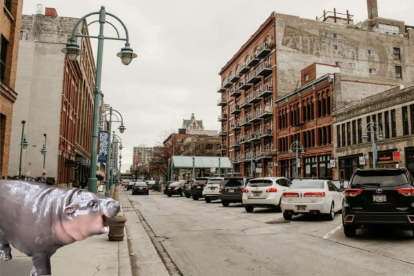 11 Places We'd Take Moo Deng in Milwaukee