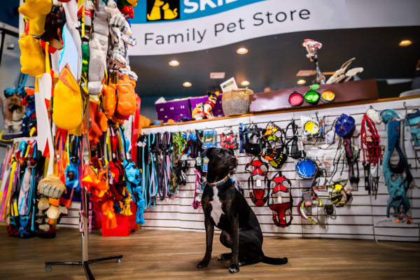Pet-Friendly Itinerary