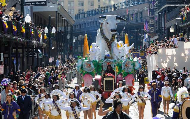 Krewe of Rex