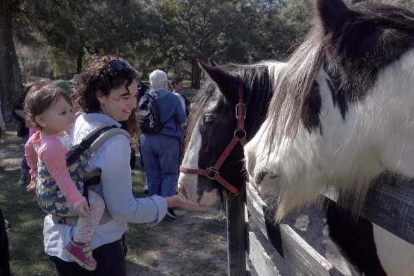 Two curious horses inspect a woman's open hand while her toddler watches