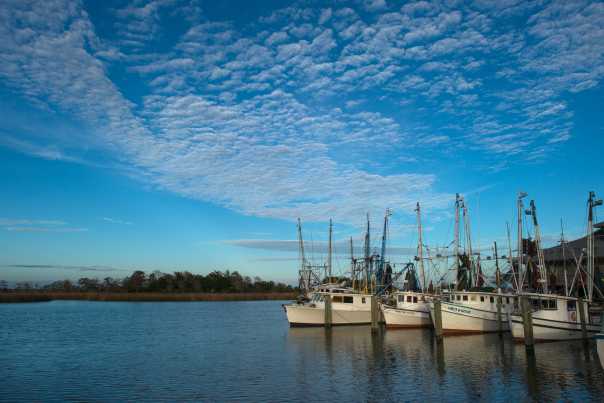 Florida Rivers Apalachicola River