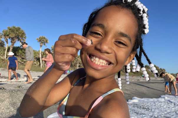 A little girl displays a shark's tooth found on Caspersen Beach