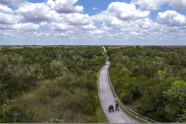 Aerial view of a winding road at Shark Valley in the Everglades