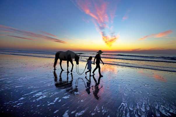 The rising sun on the Atlantic Ocean lights the sky in cotton candy pink and blue as a father and daughter walk a pony on the beach.