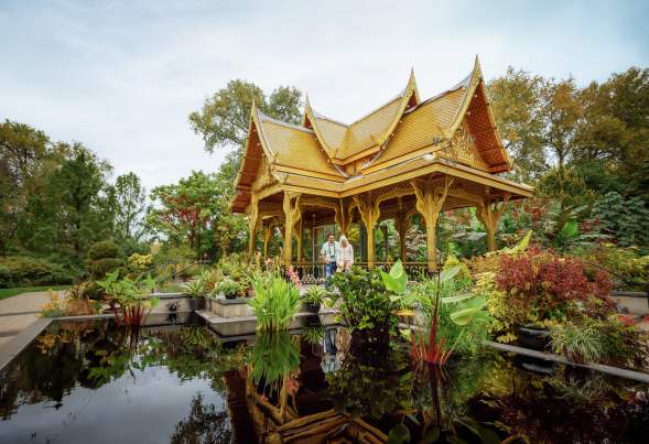 A wide shot of two people standing under the Thai Pavilion at Olbrich Botanical Gardens surrounded by a pond and lush greenery.