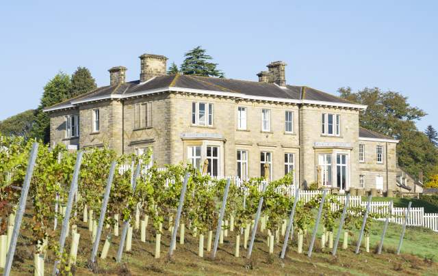 Rows of vines in front of a grand house at Leonardslee Gardens and Vineyard