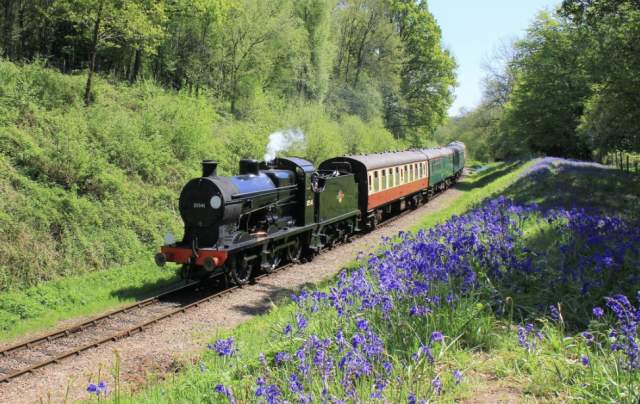 Bluebell railway steam train travelling past bluebell woods in Sussex